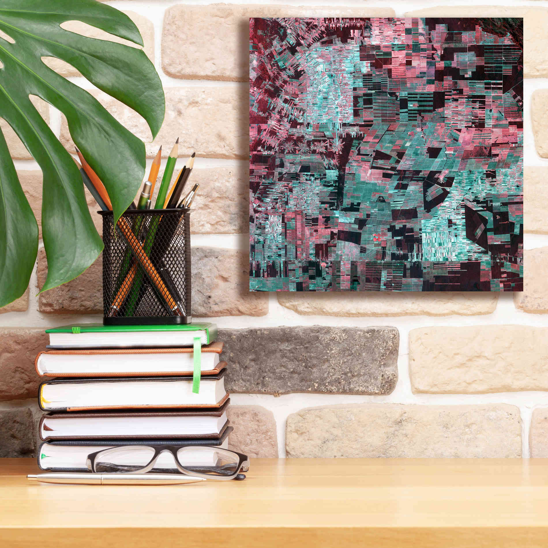 'Earth as Art: Bolivia Deforestation' Canvas Wall Art,12 x 12