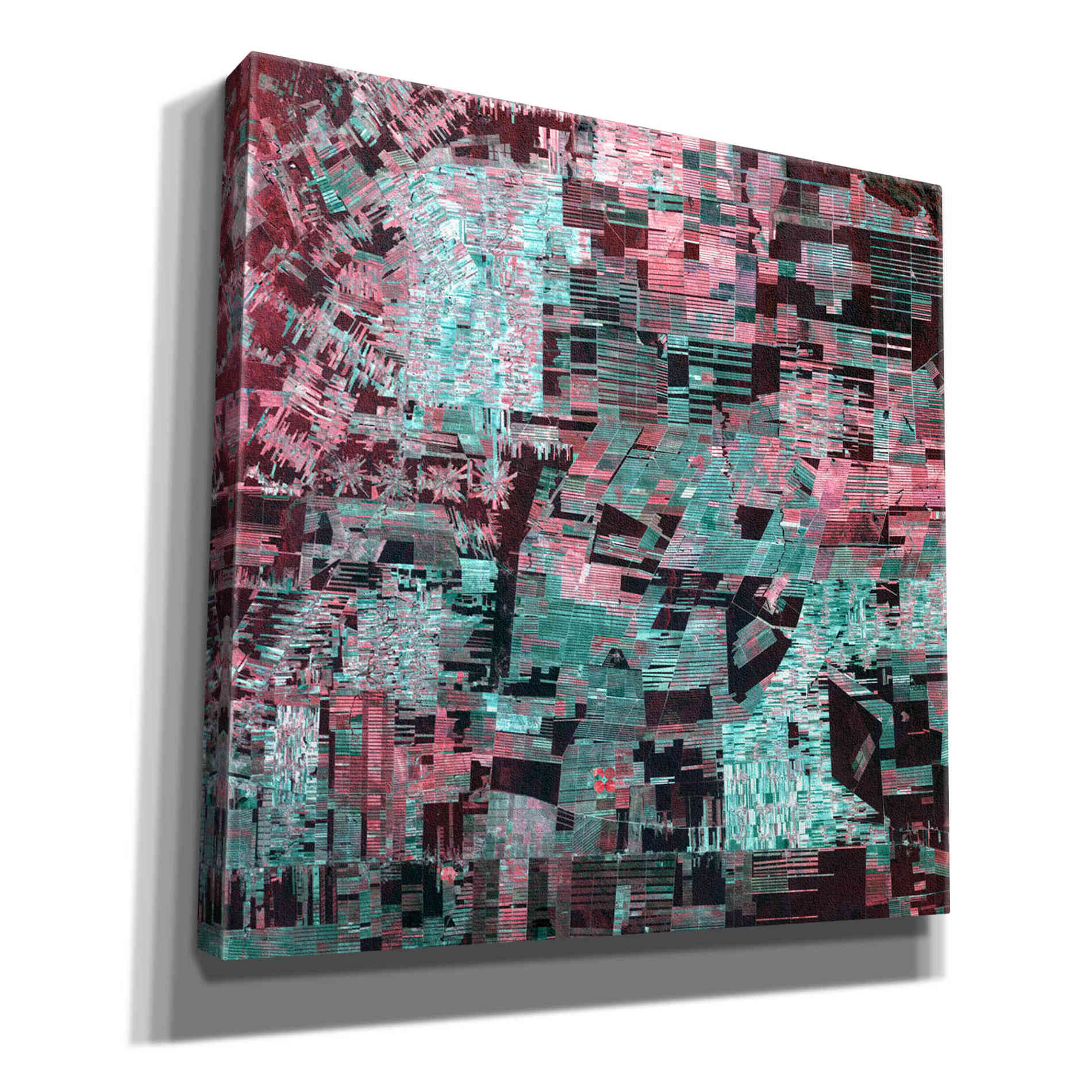 'Earth as Art: Bolivia Deforestation' Canvas Wall Art