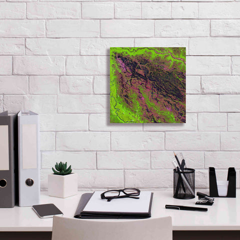 Image of 'Earth as Art: Demini River' Canvas Wall Art,12 x 12