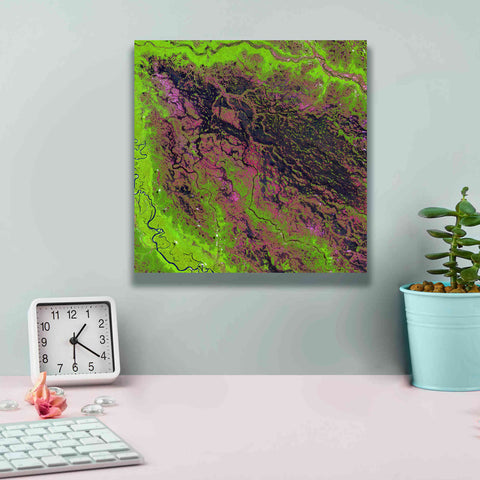 Image of 'Earth as Art: Demini River' Canvas Wall Art,12 x 12