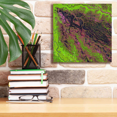 Image of 'Earth as Art: Demini River' Canvas Wall Art,12 x 12