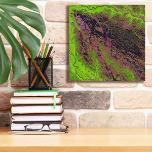 'Earth as Art: Demini River' Canvas Wall Art,12 x 12