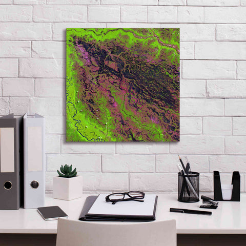 Image of 'Earth as Art: Demini River' Canvas Wall Art,18 x 18