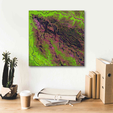 Image of 'Earth as Art: Demini River' Canvas Wall Art,18 x 18