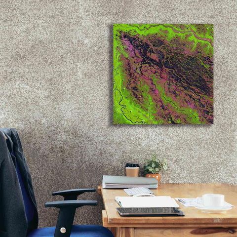 Image of 'Earth as Art: Demini River' Canvas Wall Art,26 x 26