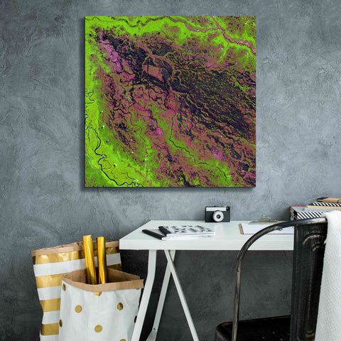 Image of 'Earth as Art: Demini River' Canvas Wall Art,26 x 26