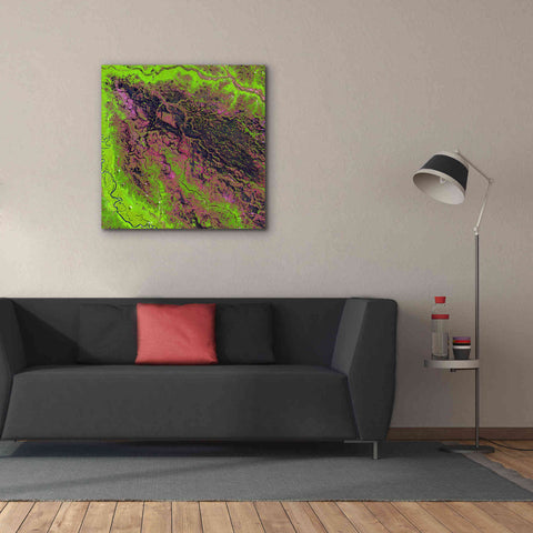 Image of 'Earth as Art: Demini River' Canvas Wall Art,37 x 37