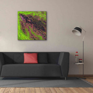 'Earth as Art: Demini River' Canvas Wall Art,37 x 37