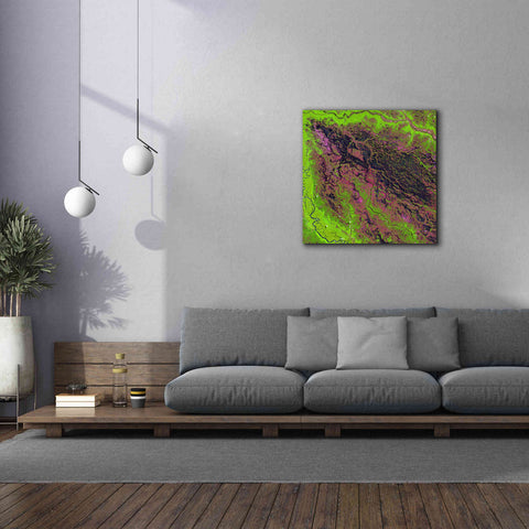 Image of 'Earth as Art: Demini River' Canvas Wall Art,37 x 37