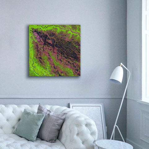 Image of 'Earth as Art: Demini River' Canvas Wall Art,37 x 37