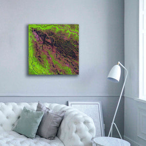 'Earth as Art: Demini River' Canvas Wall Art,37 x 37