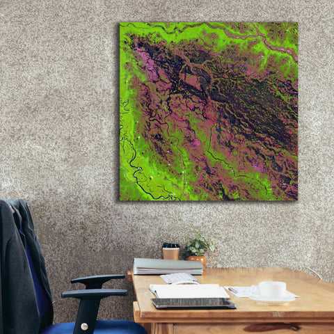 Image of 'Earth as Art: Demini River' Canvas Wall Art,37 x 37