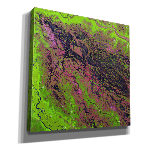 Image of 'Earth as Art: Demini River' Canvas Wall Art