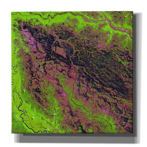 Image of 'Earth as Art: Demini River' Canvas Wall Art