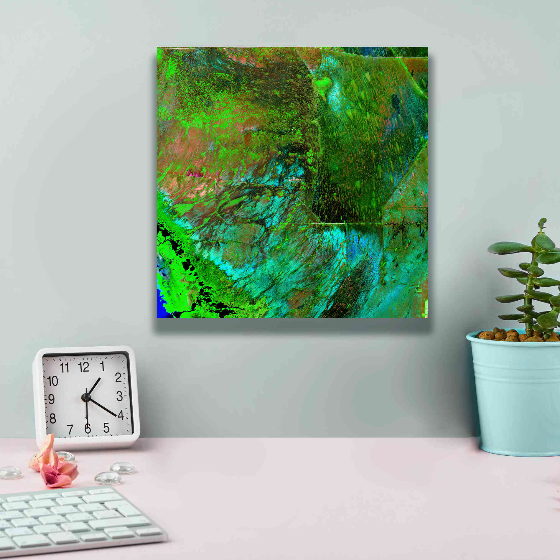 'Earth as Art: Everglades ' Canvas Wall Art,12 x 12