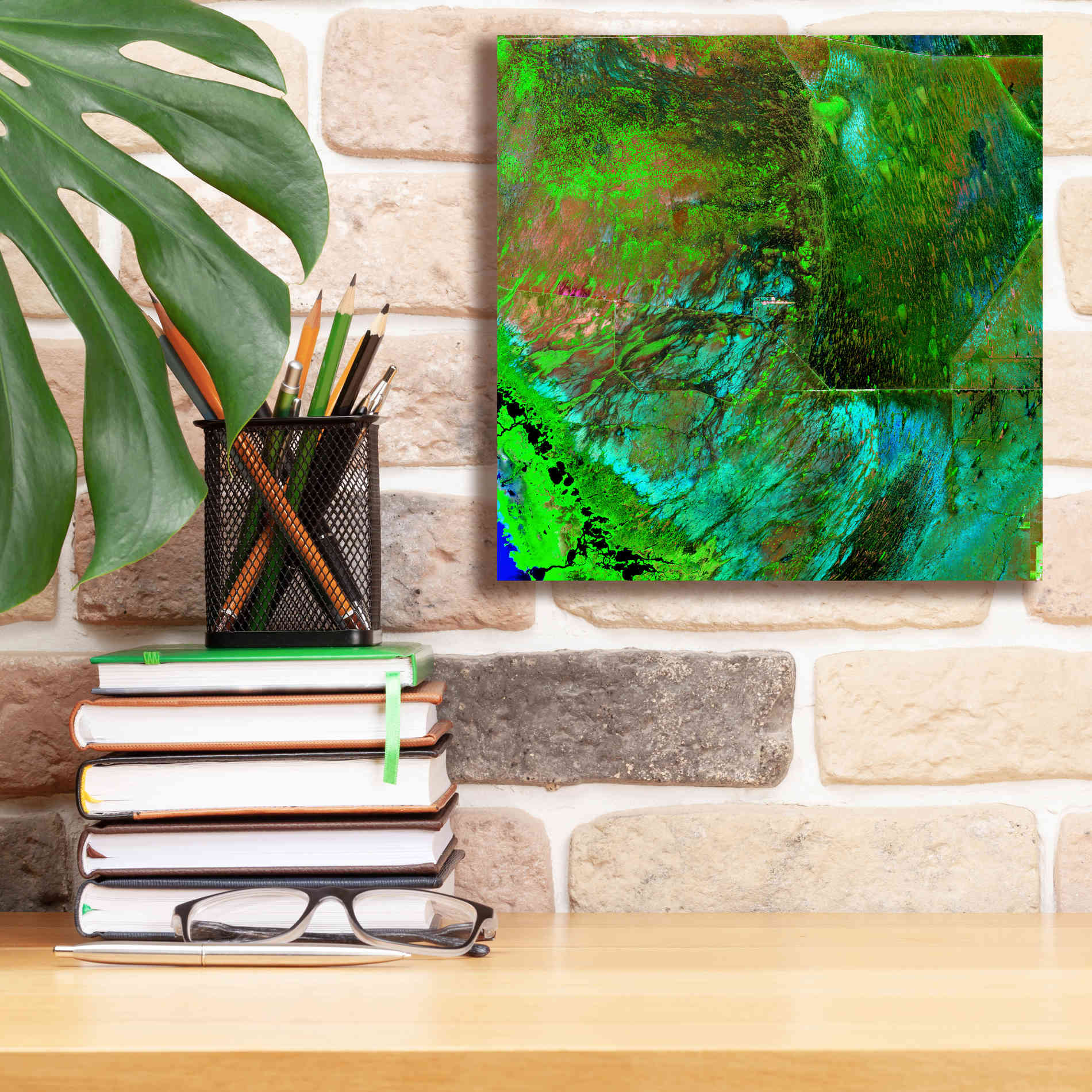 'Earth as Art: Everglades ' Canvas Wall Art,12 x 12