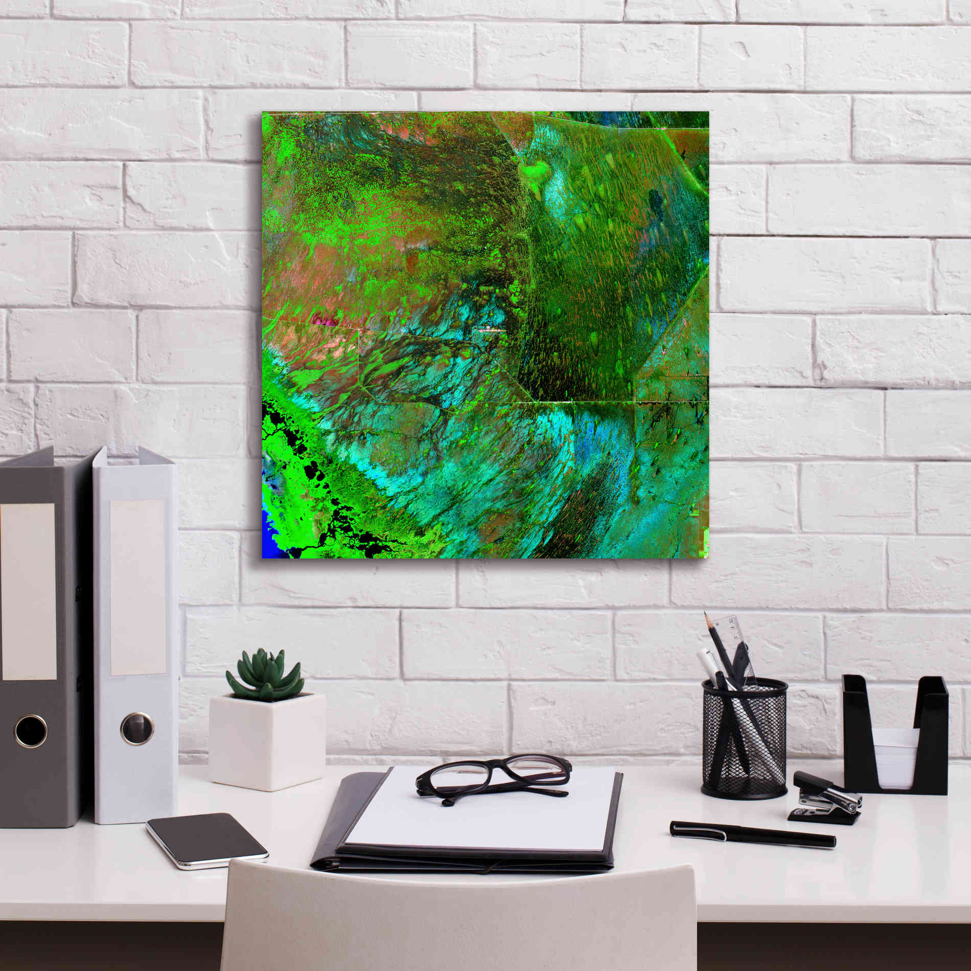 'Earth as Art: Everglades ' Canvas Wall Art,18 x 18