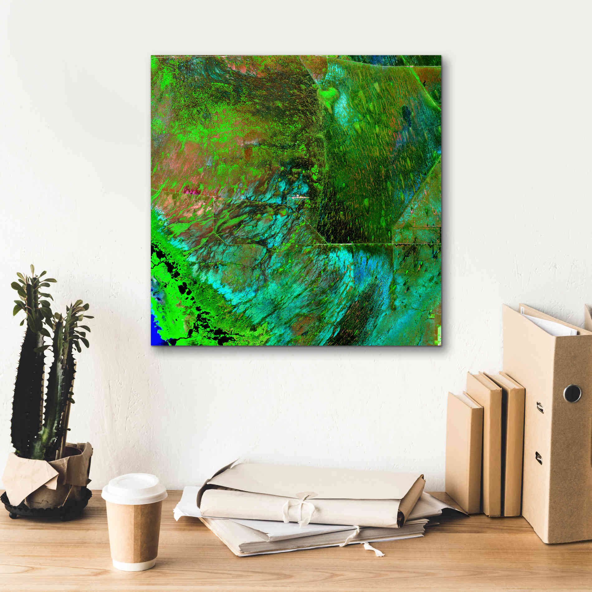 'Earth as Art: Everglades ' Canvas Wall Art,18 x 18