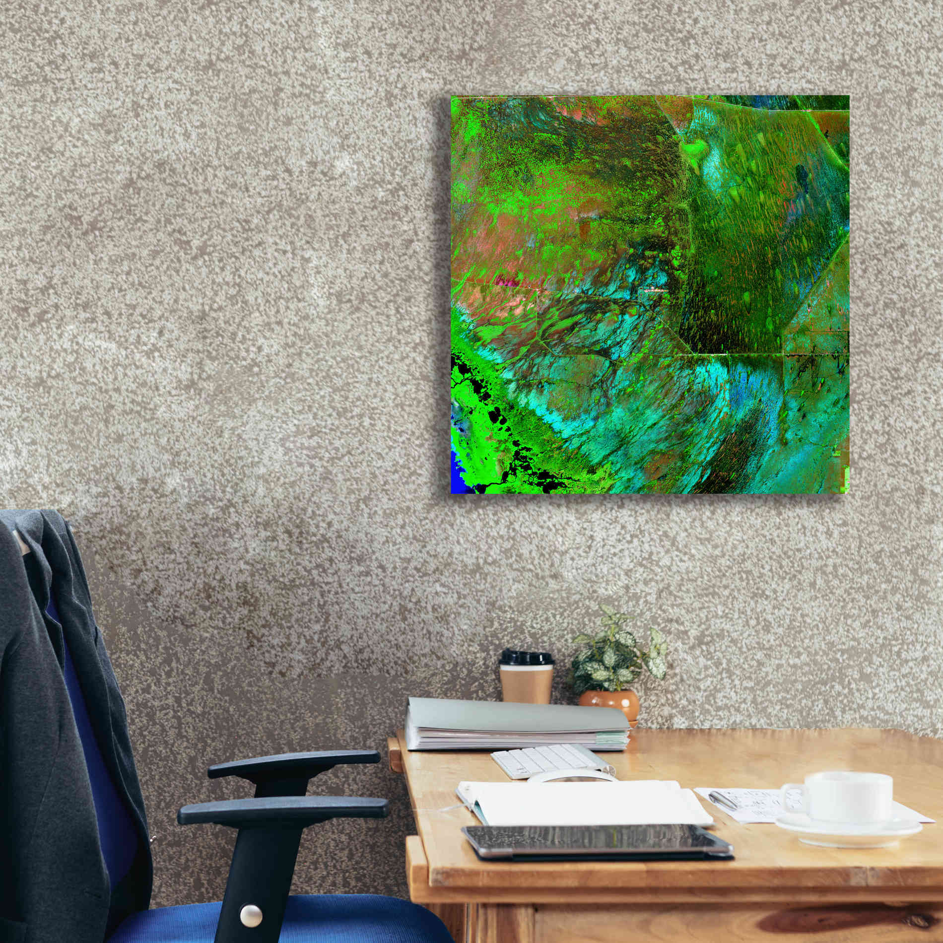 'Earth as Art: Everglades ' Canvas Wall Art,26 x 26
