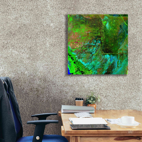 Image of 'Earth as Art: Everglades ' Canvas Wall Art,26 x 26