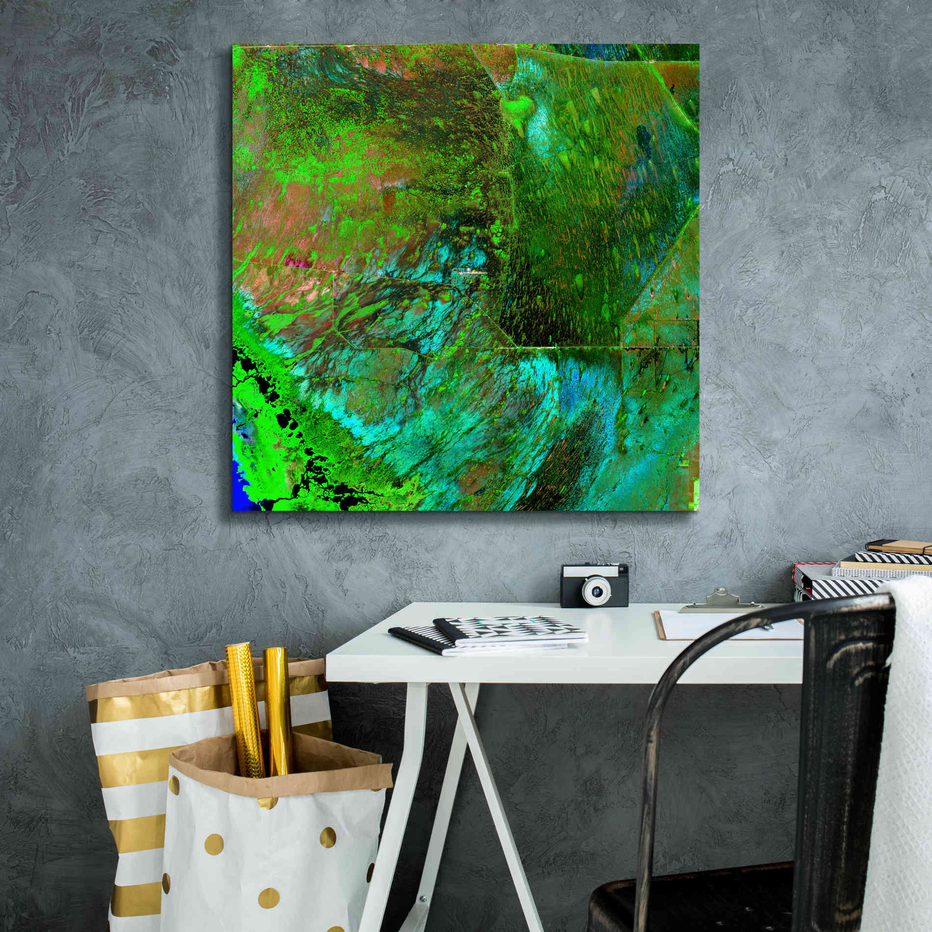 'Earth as Art: Everglades ' Canvas Wall Art,26 x 26