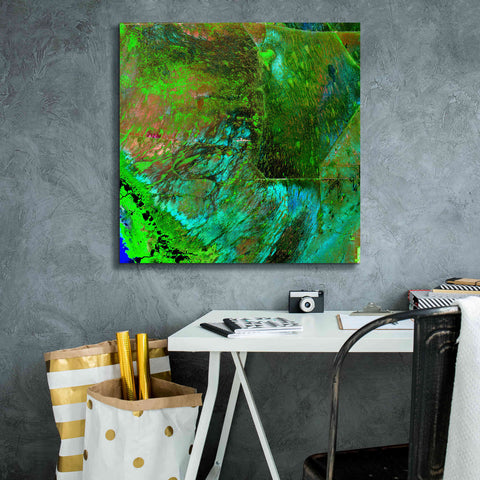 Image of 'Earth as Art: Everglades ' Canvas Wall Art,26 x 26