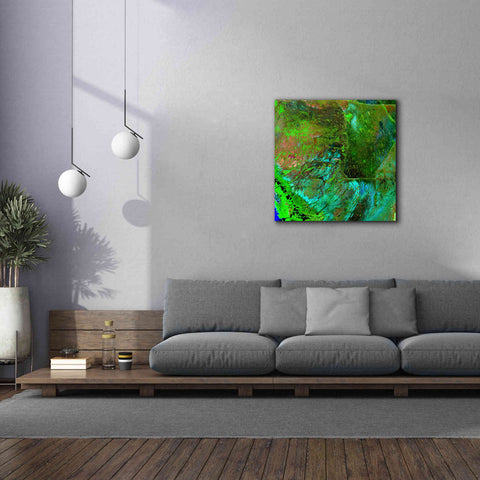 Image of 'Earth as Art: Everglades ' Canvas Wall Art,37 x 37