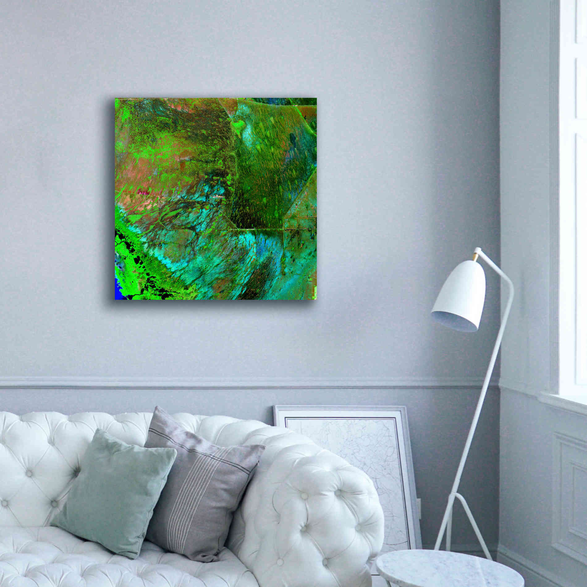 'Earth as Art: Everglades ' Canvas Wall Art,37 x 37