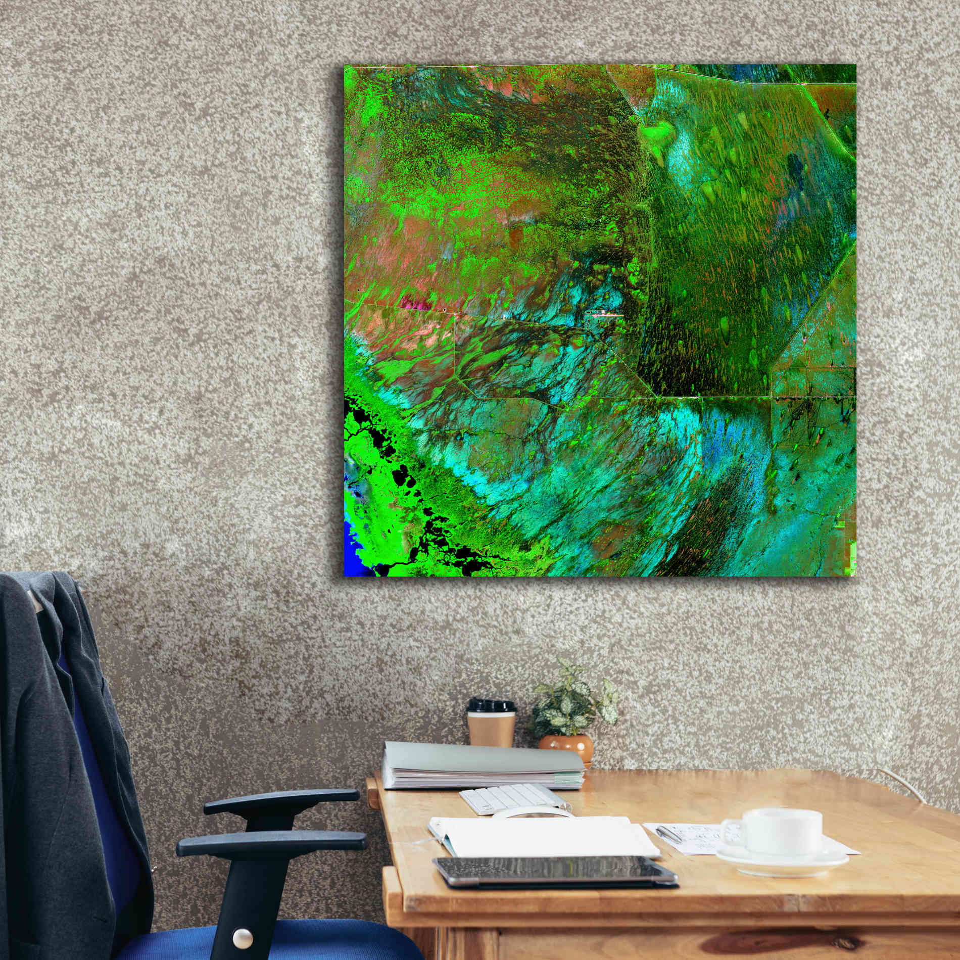 'Earth as Art: Everglades ' Canvas Wall Art,37 x 37