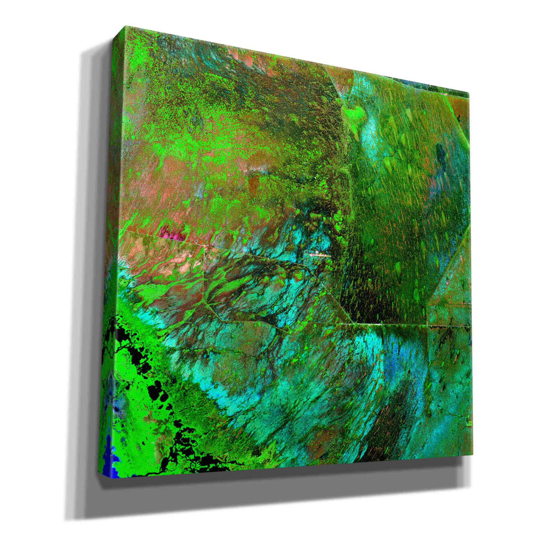 'Earth as Art: Everglades ' Canvas Wall Art