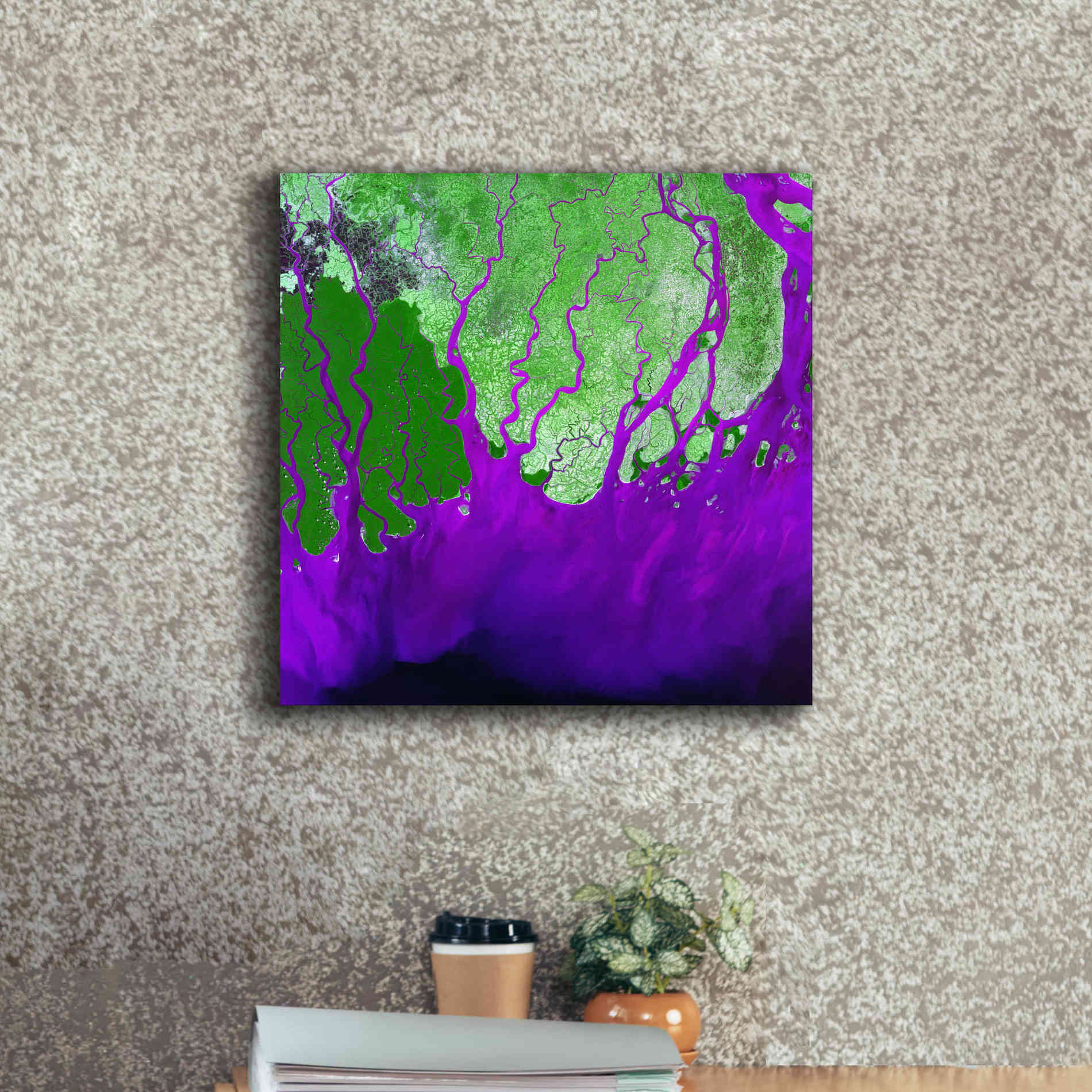 'Earth as Art: Ganges RIver Delta' Canvas Wall Art,18 x 18