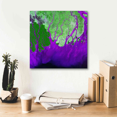 Image of 'Earth as Art: Ganges RIver Delta' Canvas Wall Art,18 x 18