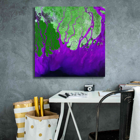 Image of 'Earth as Art: Ganges RIver Delta' Canvas Wall Art,26 x 26