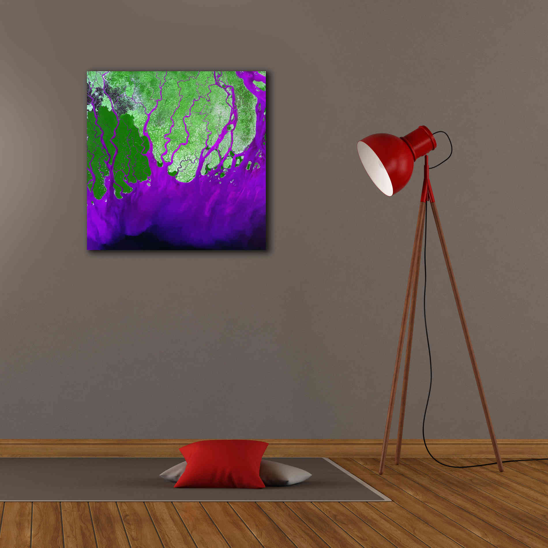 'Earth as Art: Ganges RIver Delta' Canvas Wall Art,26 x 26