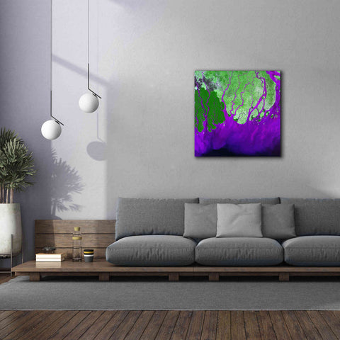 Image of 'Earth as Art: Ganges RIver Delta' Canvas Wall Art,37 x 37