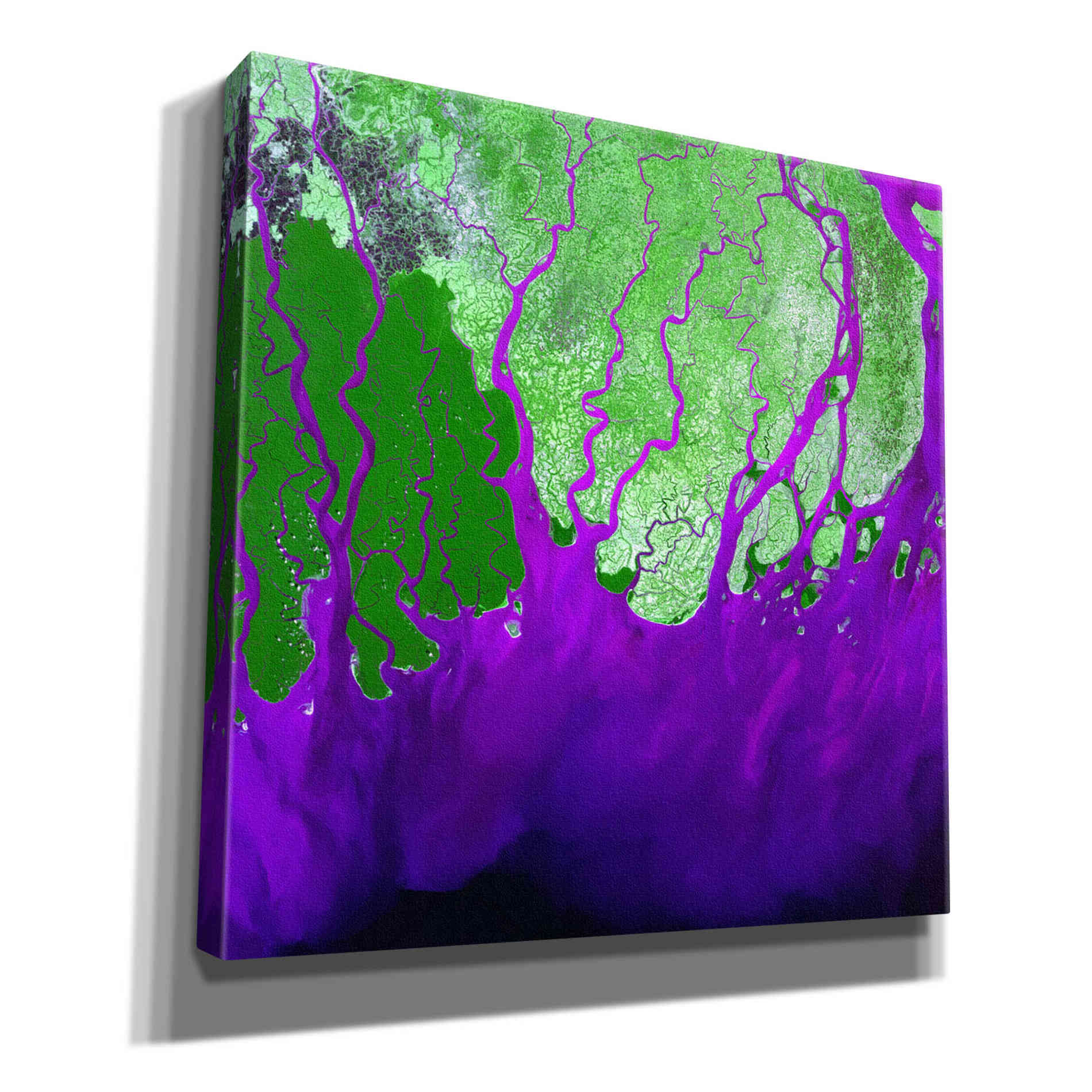 'Earth as Art: Ganges RIver Delta' Canvas Wall Art