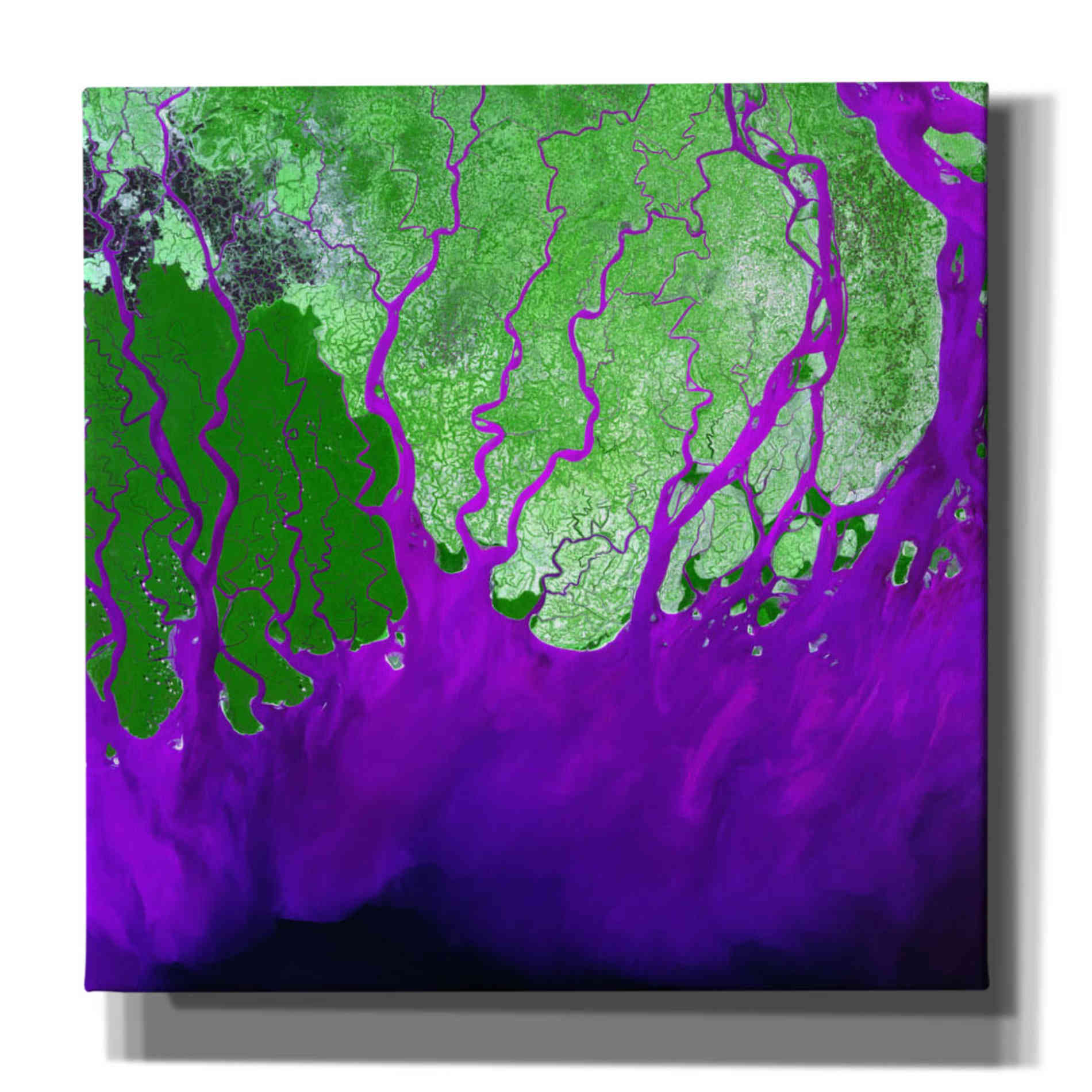 'Earth as Art: Ganges RIver Delta' Canvas Wall Art