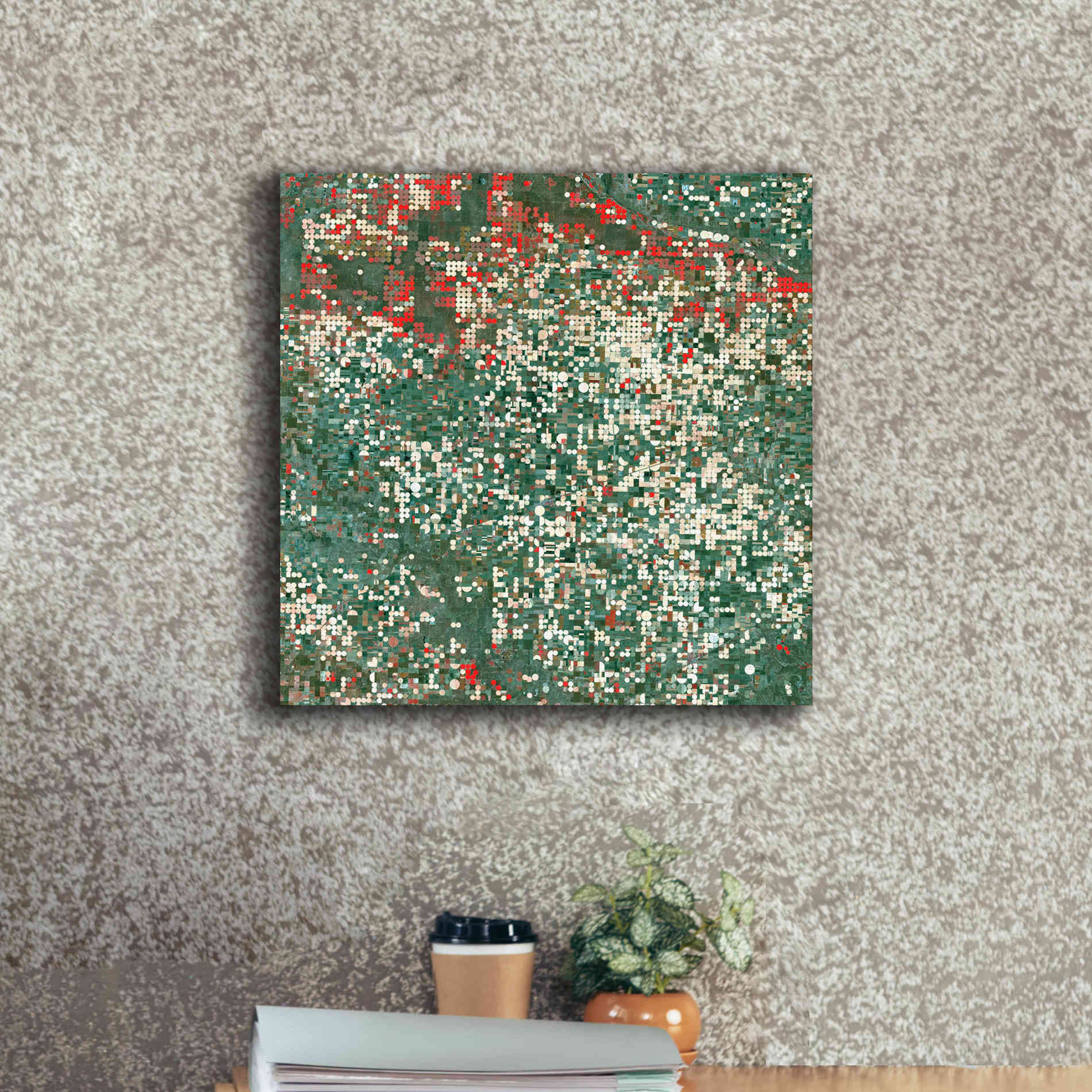 'Earth as Art: Garden City' Canvas Wall Art,18 x 18