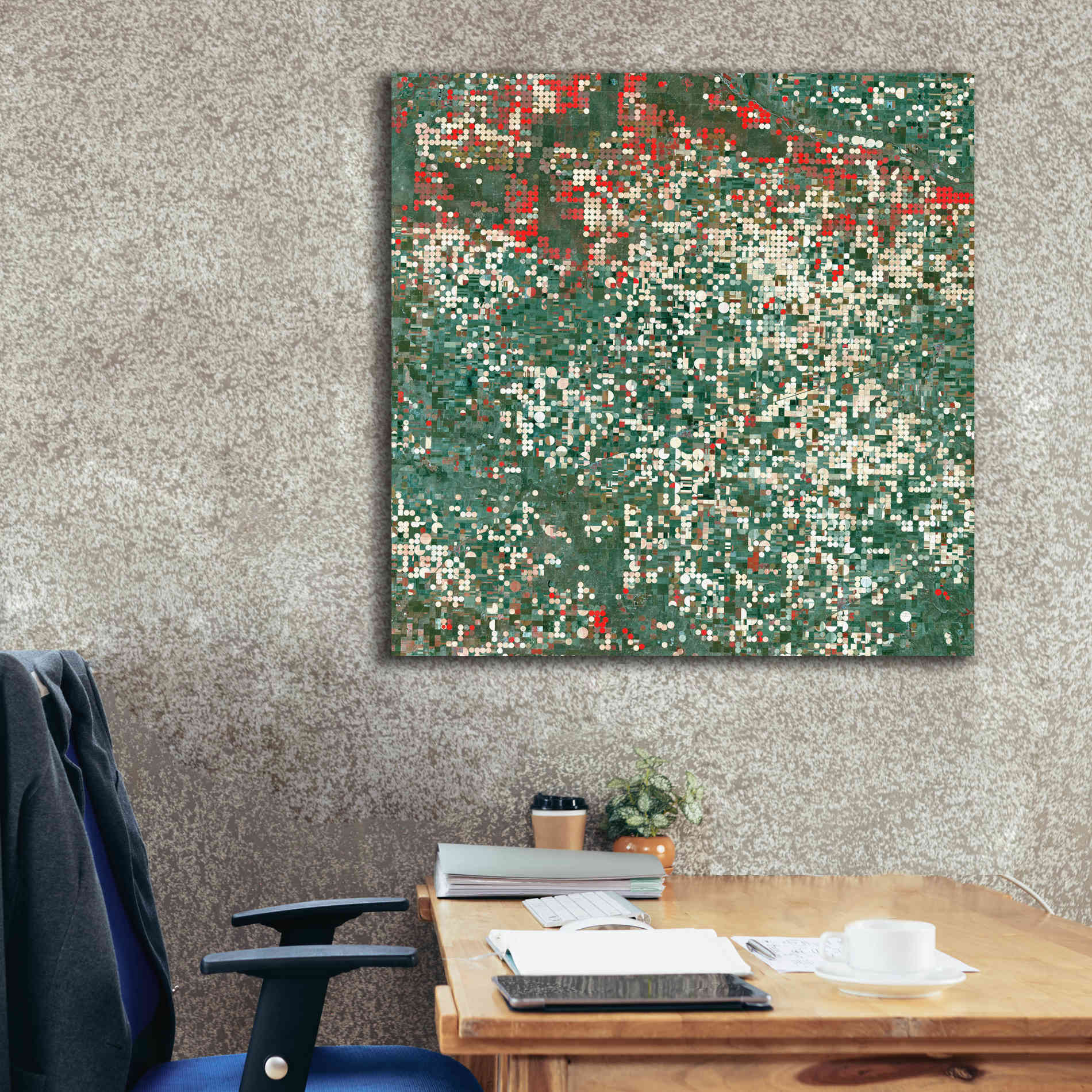 'Earth as Art: Garden City' Canvas Wall Art,37 x 37