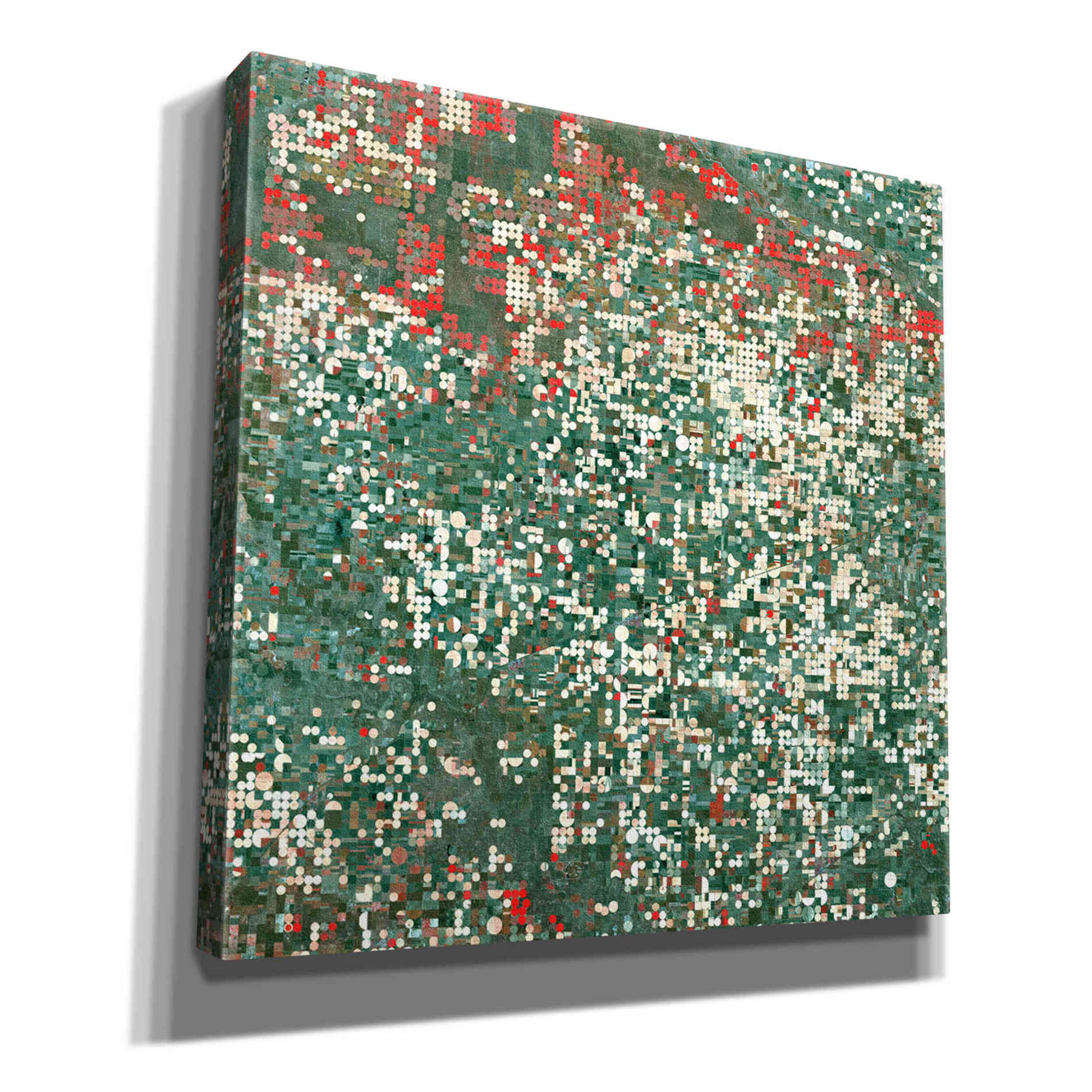 'Earth as Art: Garden City' Canvas Wall Art