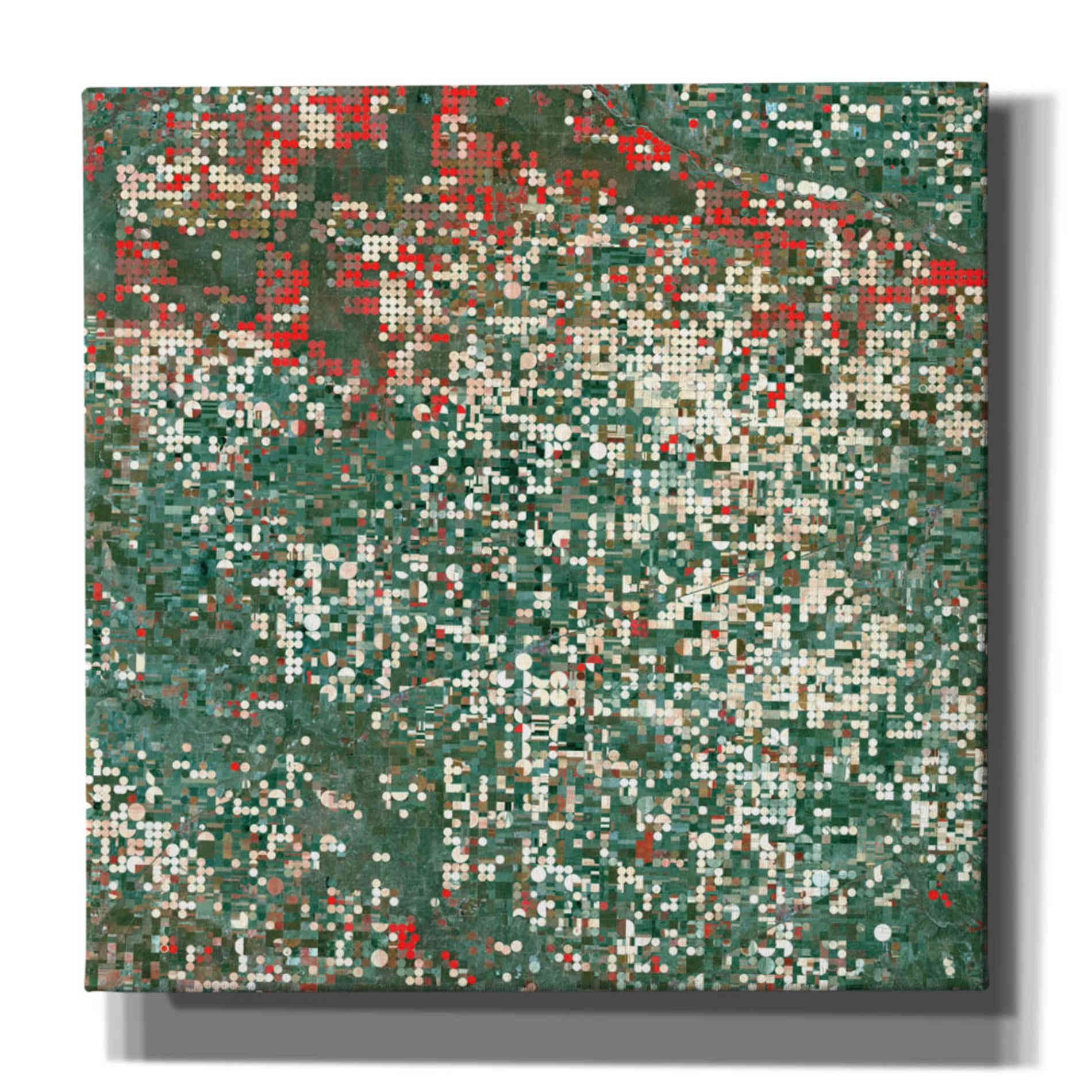 'Earth as Art: Garden City' Canvas Wall Art