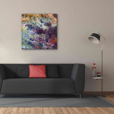 Image of 'Earth as Art: Ghadamis River' Canvas Wall Art,37 x 37