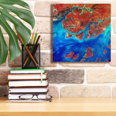 Image of 'Earth as Art: Guinea-Bissau ' Canvas Wall Art,12 x 12