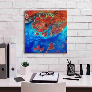 'Earth as Art: Guinea-Bissau ' Canvas Wall Art,18 x 18