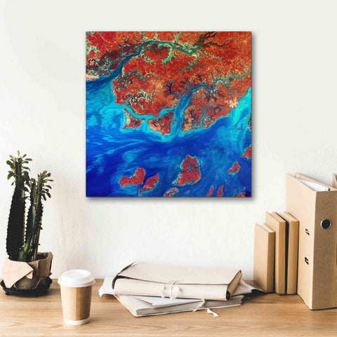 Image of 'Earth as Art: Guinea-Bissau ' Canvas Wall Art,18 x 18