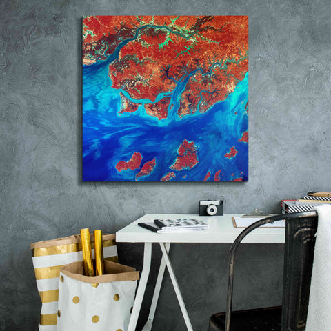 Image of 'Earth as Art: Guinea-Bissau ' Canvas Wall Art,26 x 26