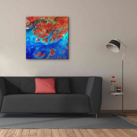 Image of 'Earth as Art: Guinea-Bissau ' Canvas Wall Art,37 x 37