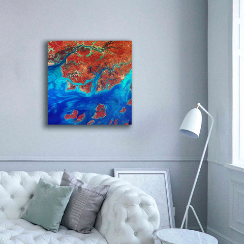 Image of 'Earth as Art: Guinea-Bissau ' Canvas Wall Art,37 x 37