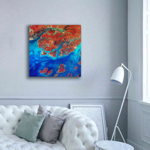 'Earth as Art: Guinea-Bissau ' Canvas Wall Art,37 x 37