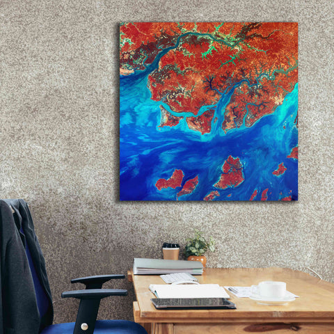 Image of 'Earth as Art: Guinea-Bissau ' Canvas Wall Art,37 x 37